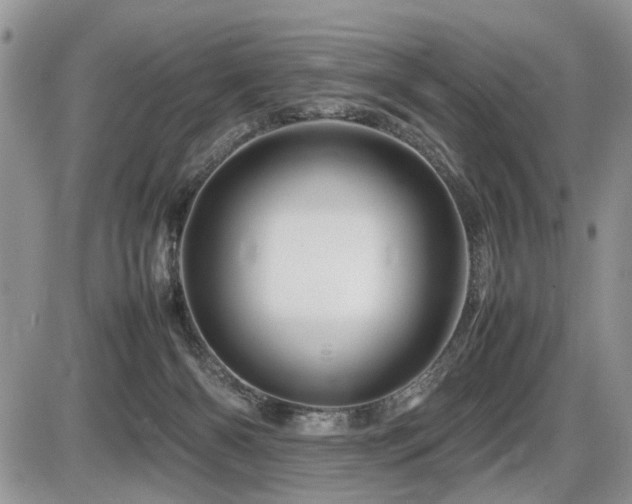 X0000086080126200703231414