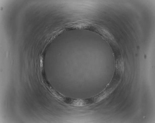 X0000086080127200703231414