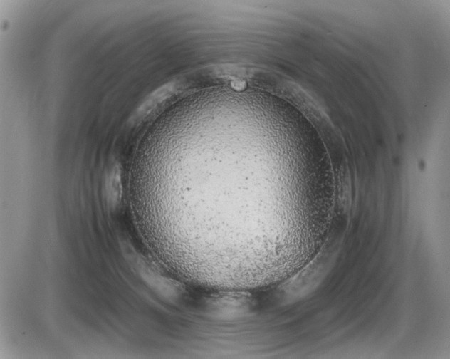 X0000086080128200703231414