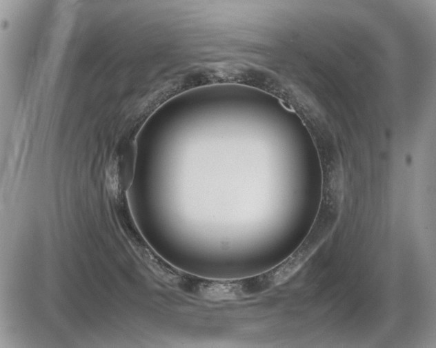 X0000086080129200703231414