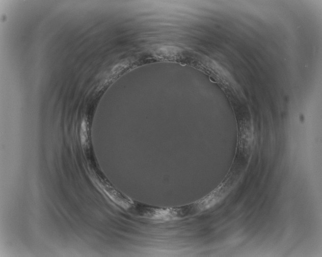 X0000086080130200703231414