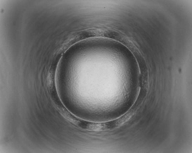 X0000086080131200703231414