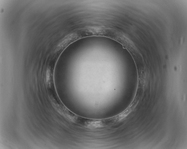 X0000086080132200703231414