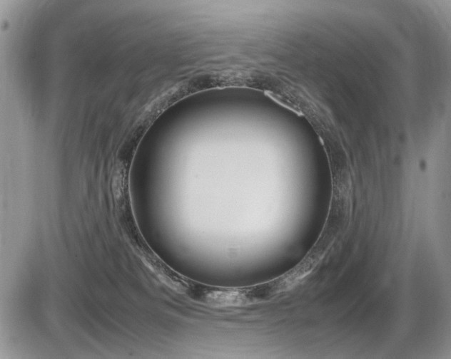 X0000086080133200703231414