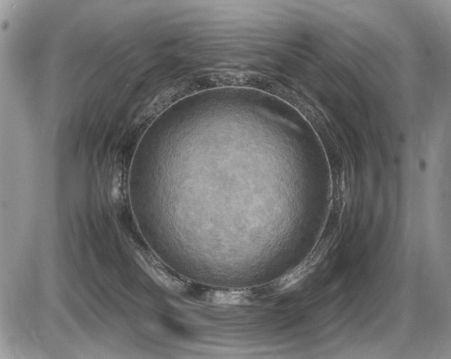 X0000086080134200703231414