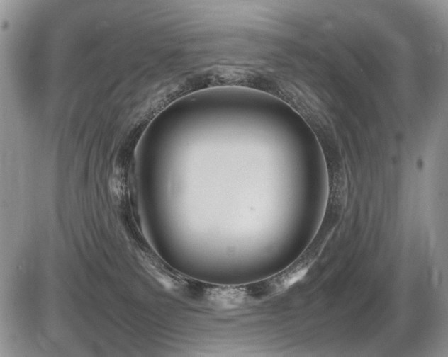 X0000086080135200703231414