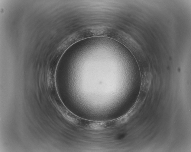 X0000086080136200703231414