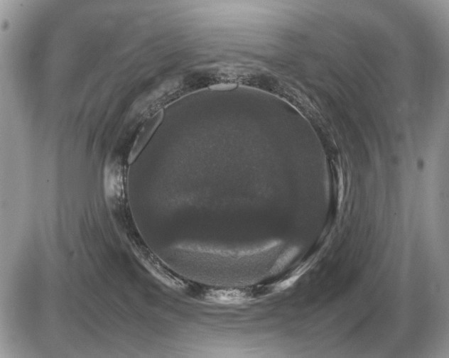 X0000086080137200703231414