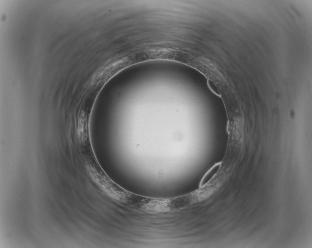 X0000086080138200703231414