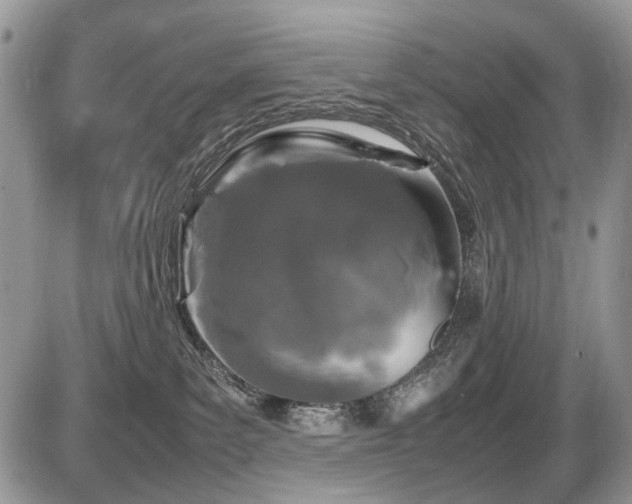 X0000086080139200703231414