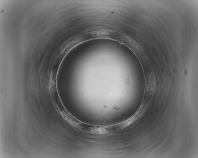 X0000086080140200703231414