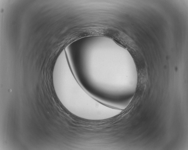 X0000086080141200703231414