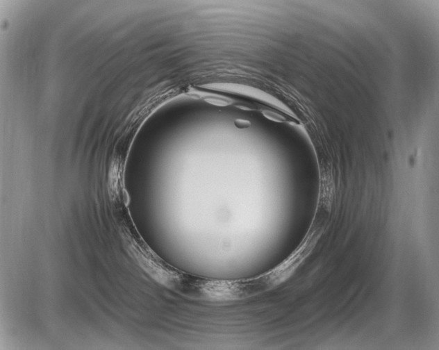 X0000086080142200703231414