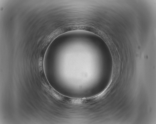 X0000086080144200703231414