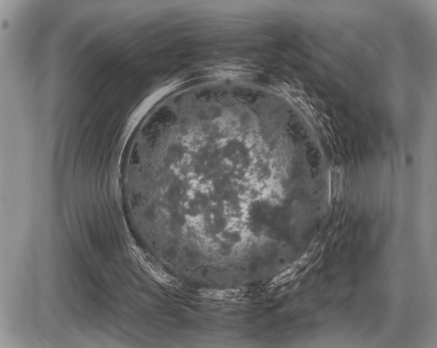 X0000086080147200703231413