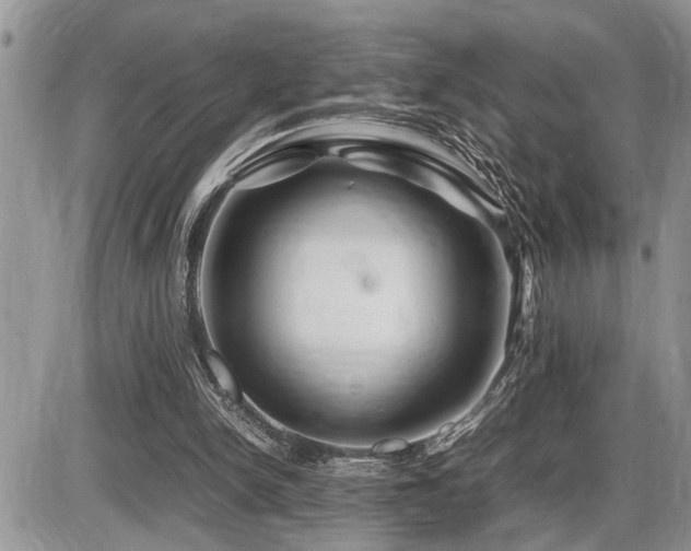 X0000086080150200703231413