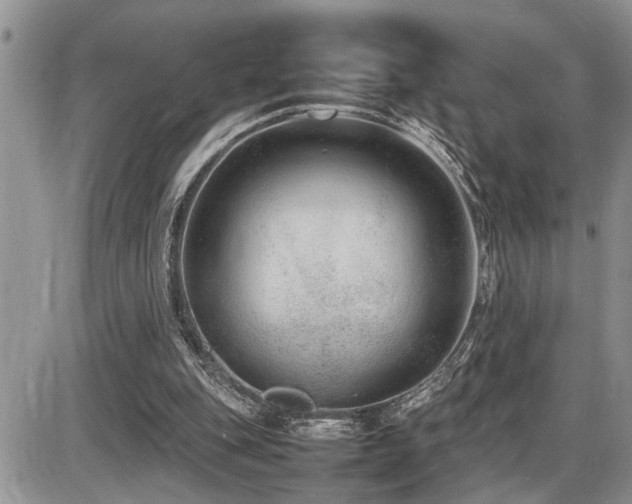 X0000086080151200703231413