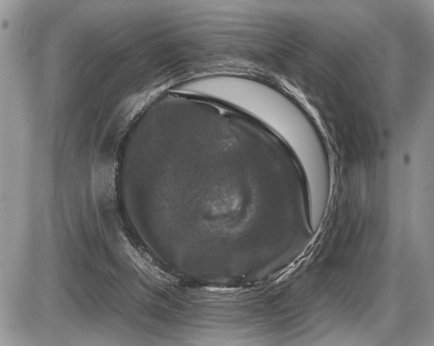 X0000086080154200703231413