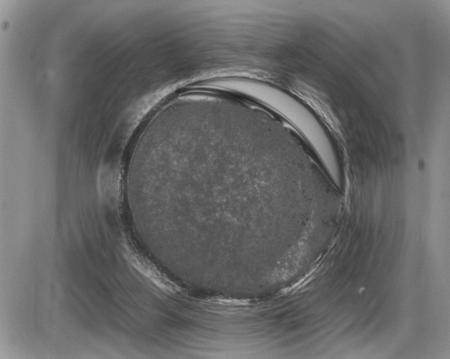 X0000086080156200703231413