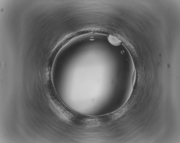 X0000086080160200703231413