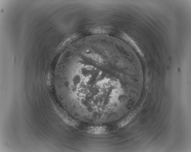 X0000086080161200703231414