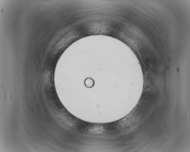 X0000086080162200703231414