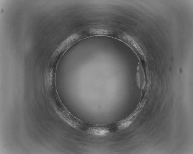 X0000086080163200703231414