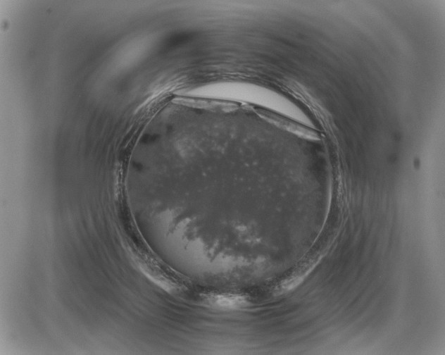 X0000086080165200703231414