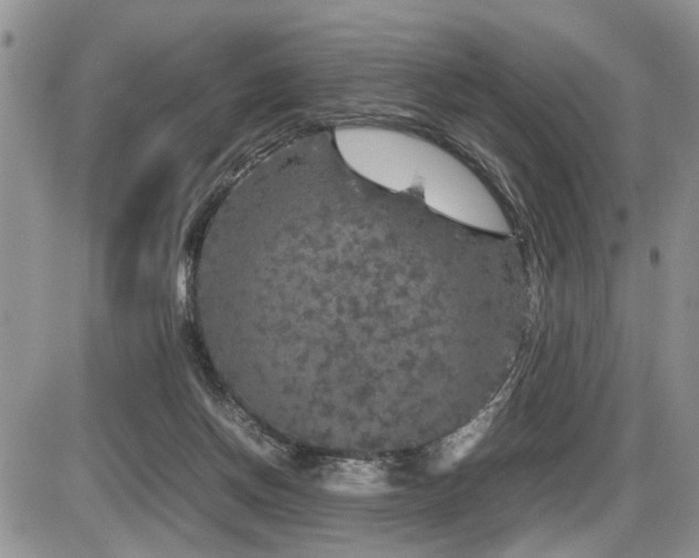 X0000086080166200703231414