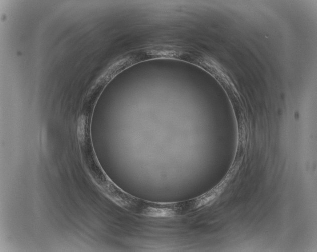 X0000086080167200703231414