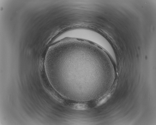 X0000086080168200703231414