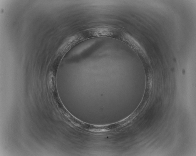 X0000086080169200703231414