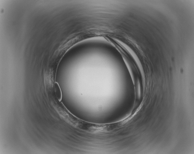 X0000086080170200703231414