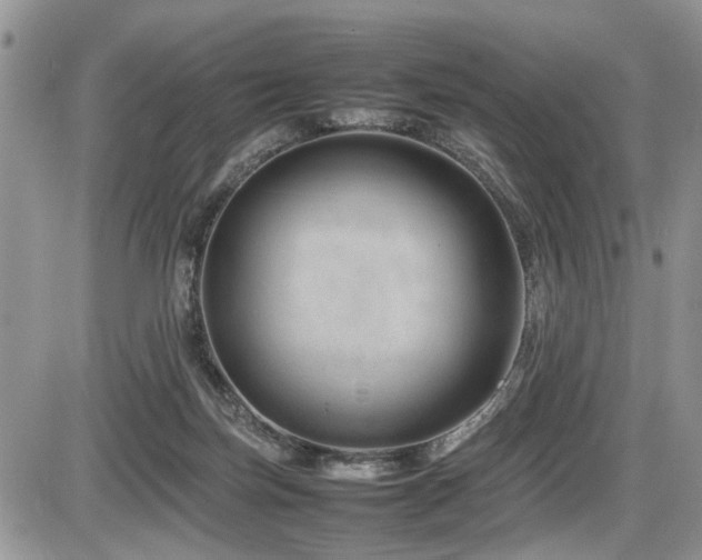 X0000086080171200703231414