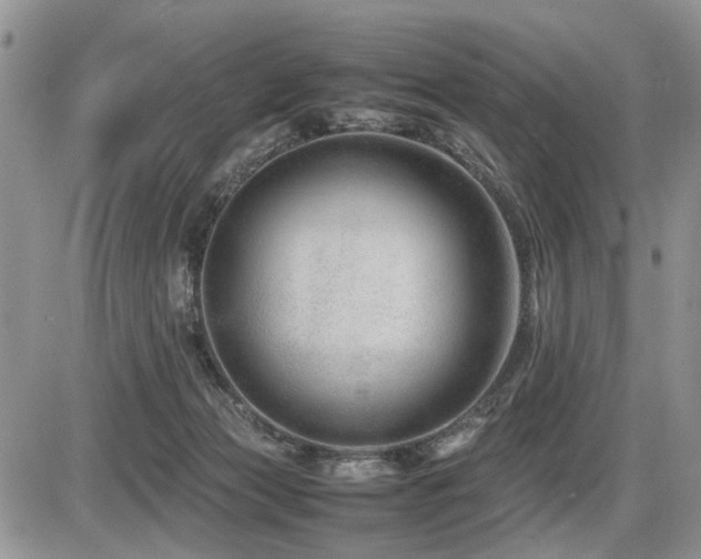 X0000086080173200703231414