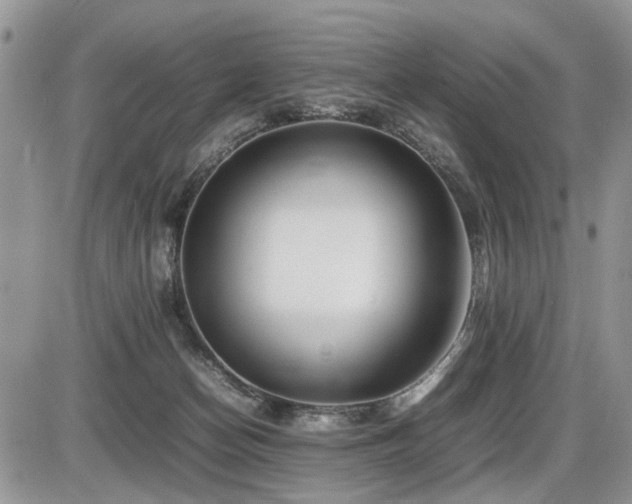 X0000086080174200703231414