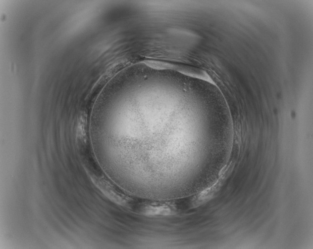 X0000086080175200703231414