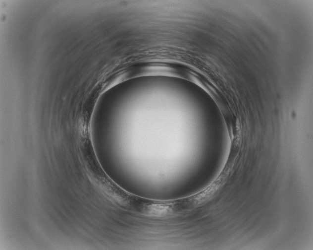 X0000086080176200703231414