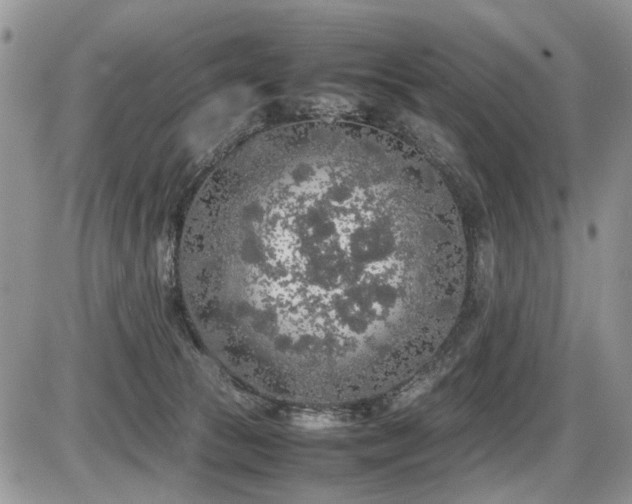 X0000086080177200703231414