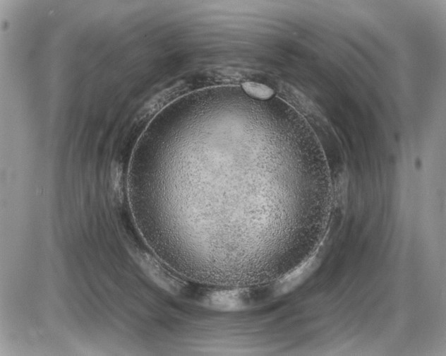 X0000086080178200703231414