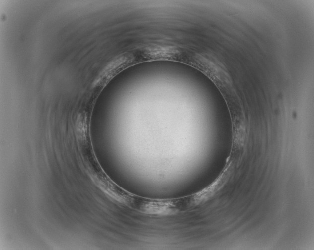 X0000086080179200703231414