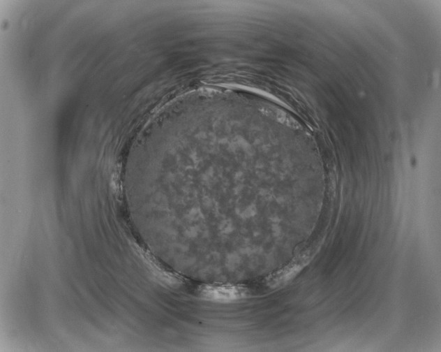 X0000086080181200703231414