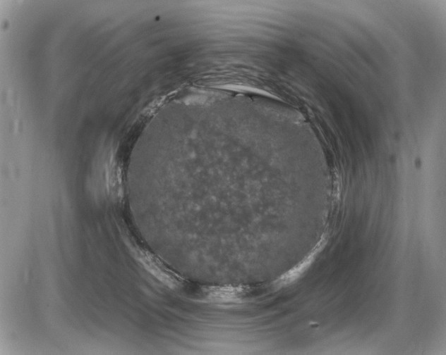 X0000086080182200703231414