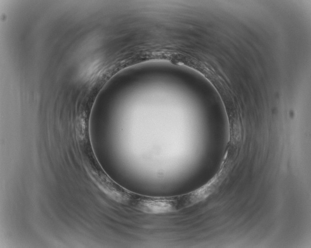 X0000086080183200703231414