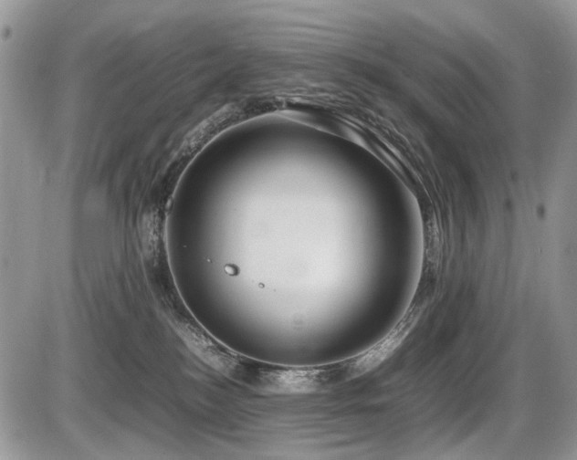 X0000086080184200703231414