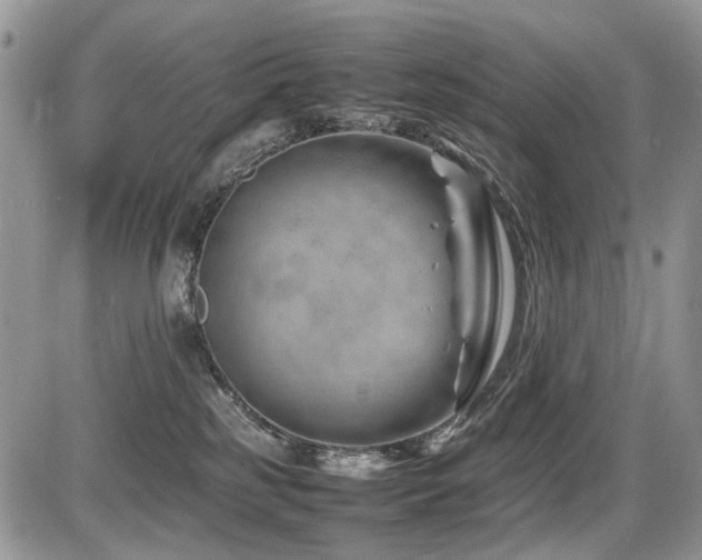 X0000086080185200703231414