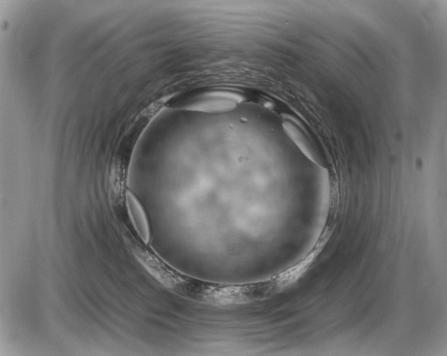 X0000086080186200703231414