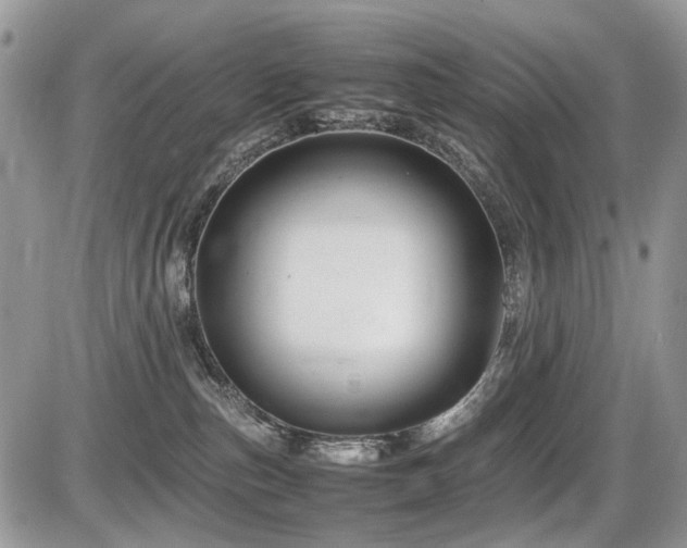 X0000086080187200703231414