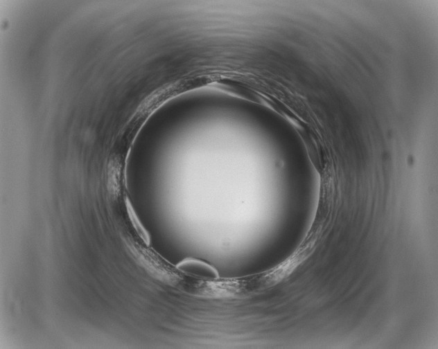 X0000086080188200703231414