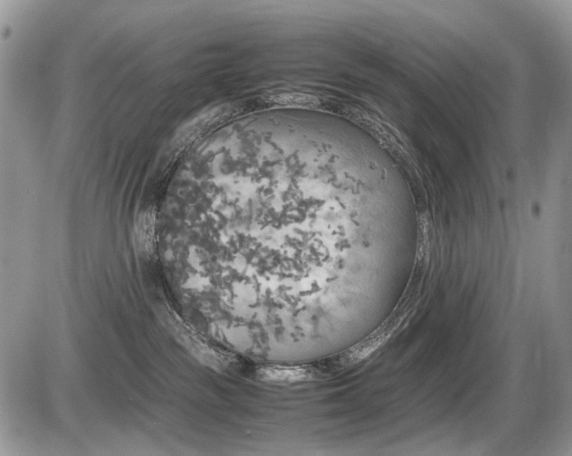 X0000086080189200703231414